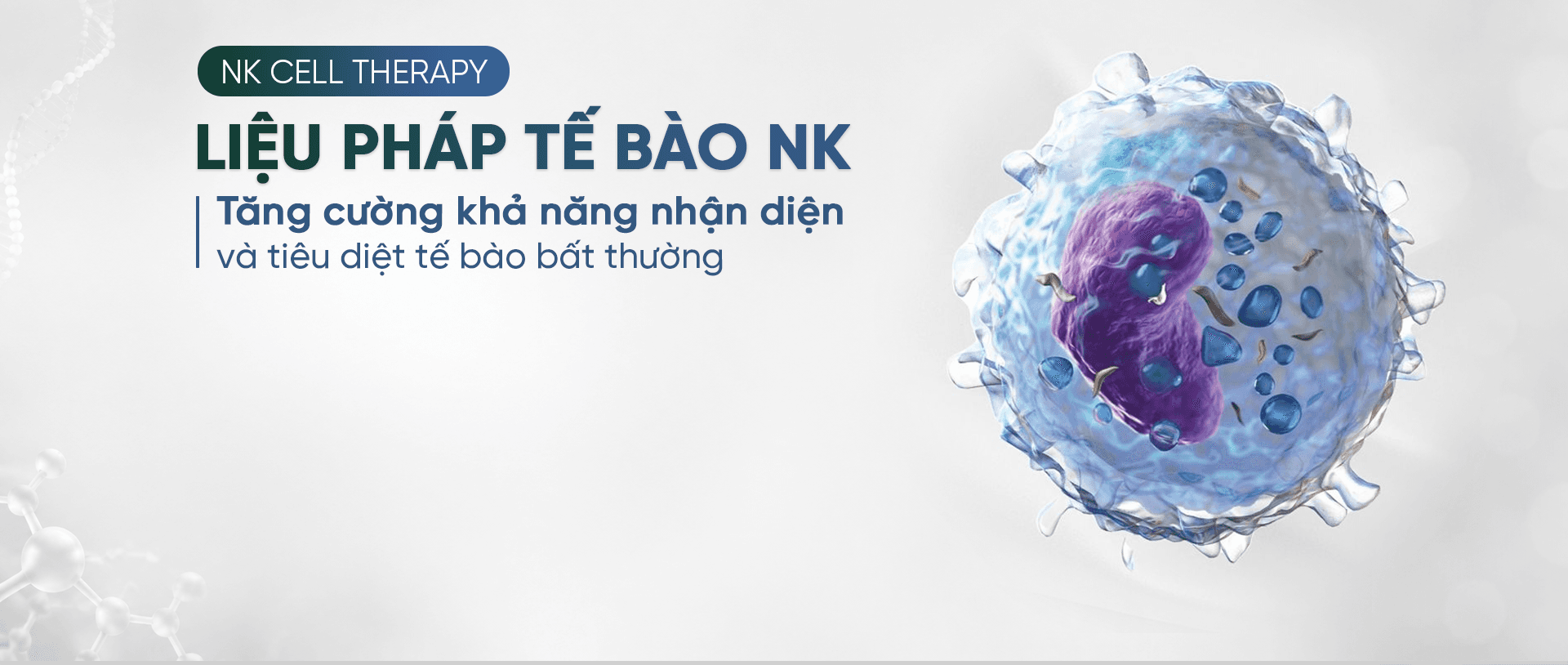 Banner Background 4