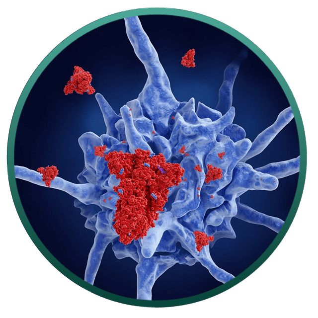 VACCINE TẾ BÀO DC