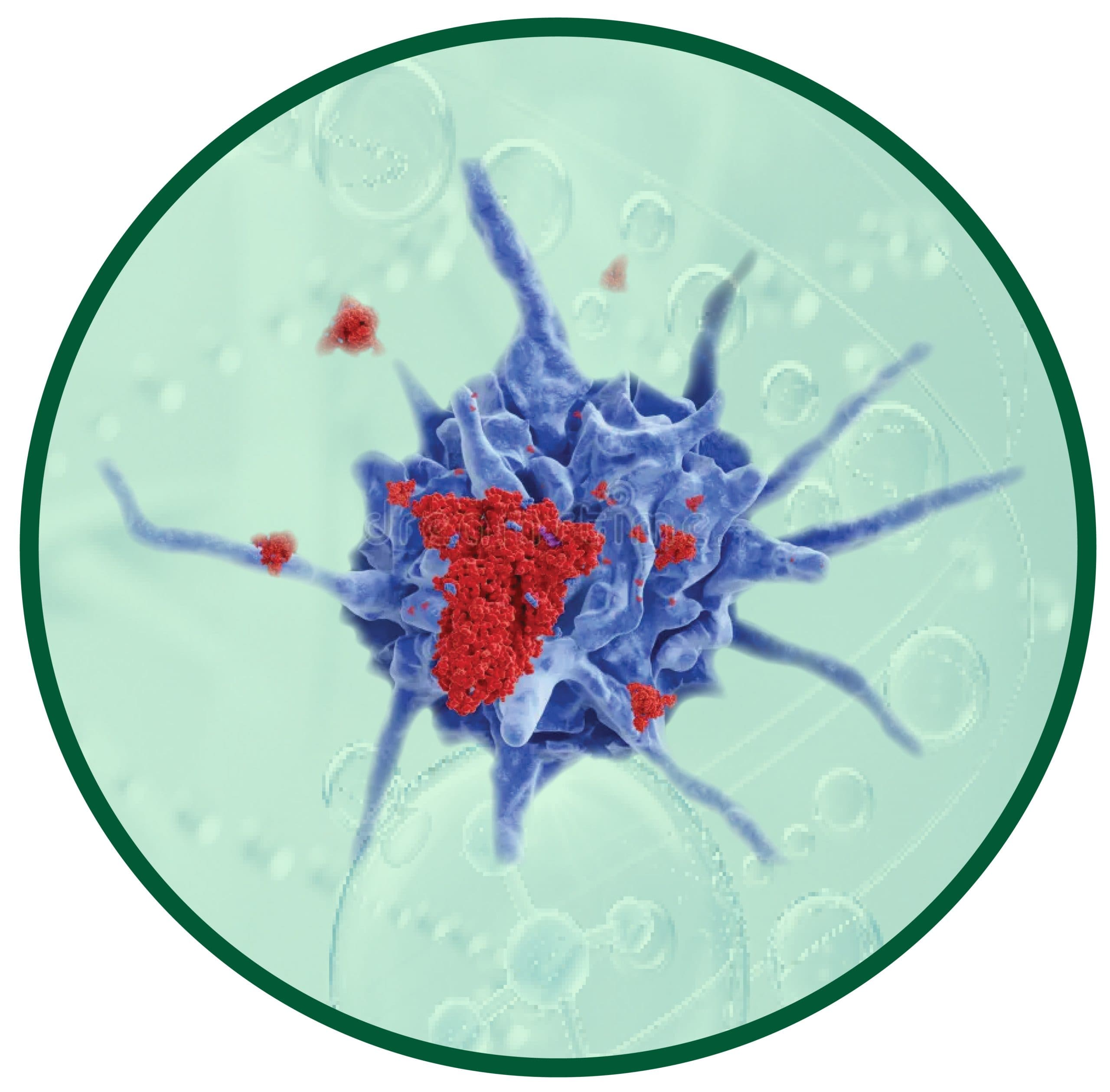 VACCINE TẾ BÀO DC