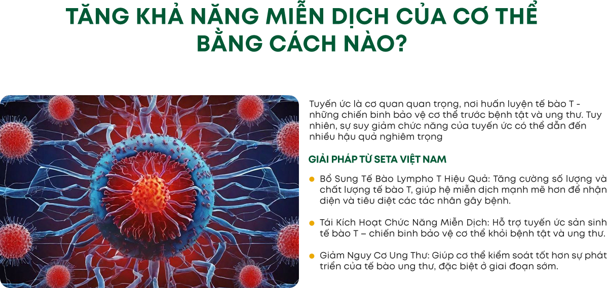 Infographic 1