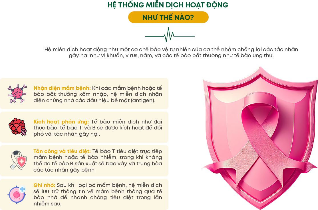 Infographic 5