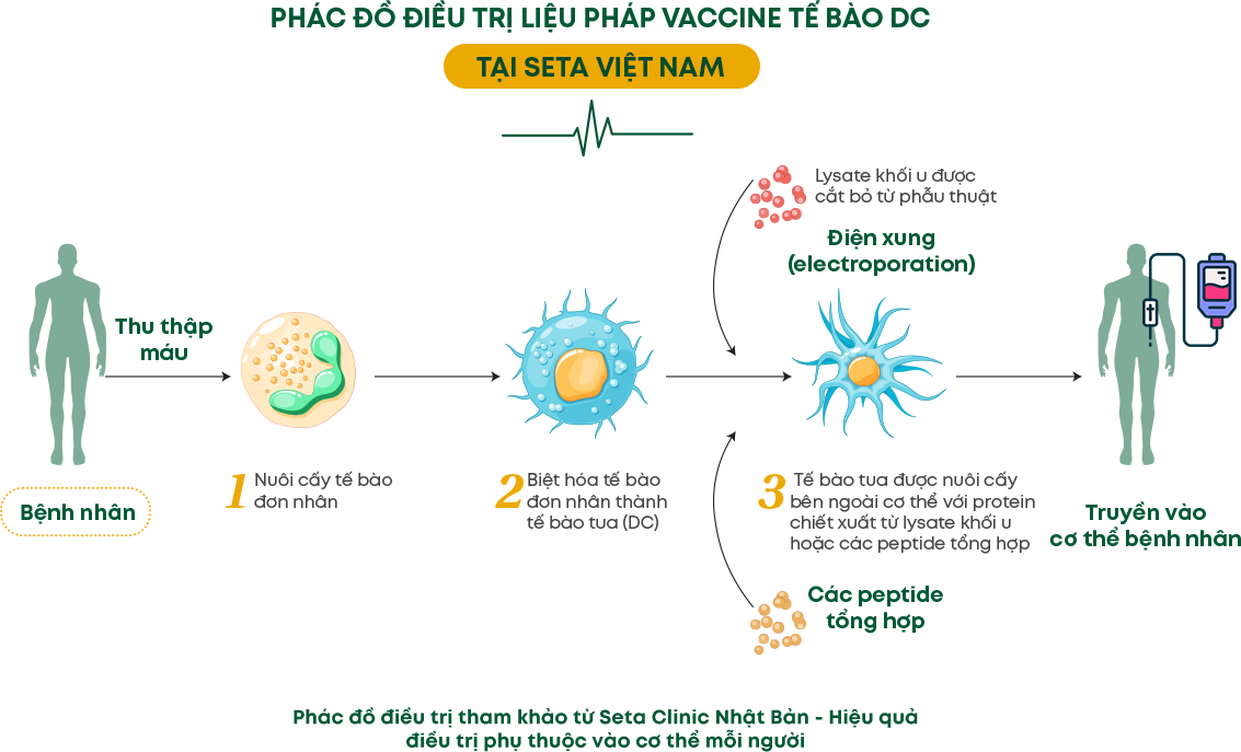 Infographic 7