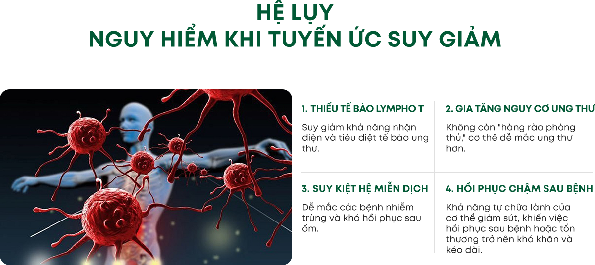 Thông tin liệu pháp NK Cell phần 3