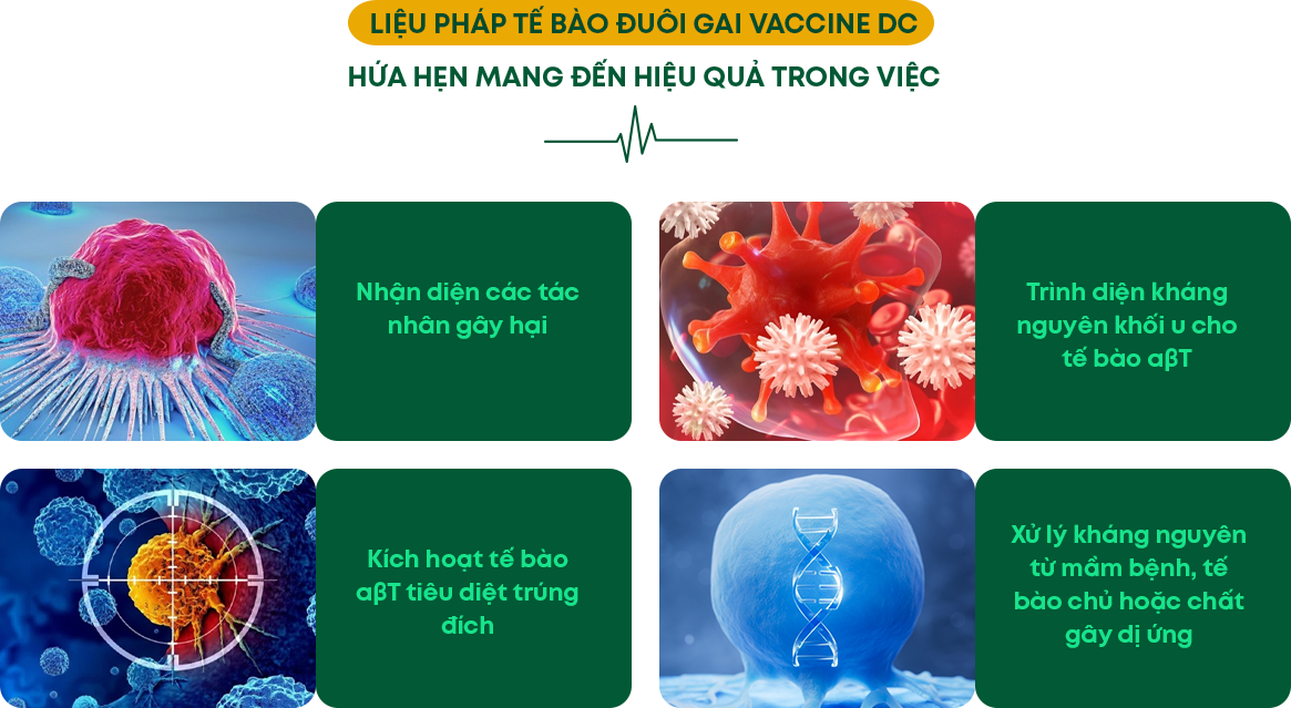 Vaccine DC Infographic phần 8