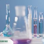 Tế Bào Gốc Trưởng Thành: Tiềm Năng & Ứng Dụng Trong Y Học