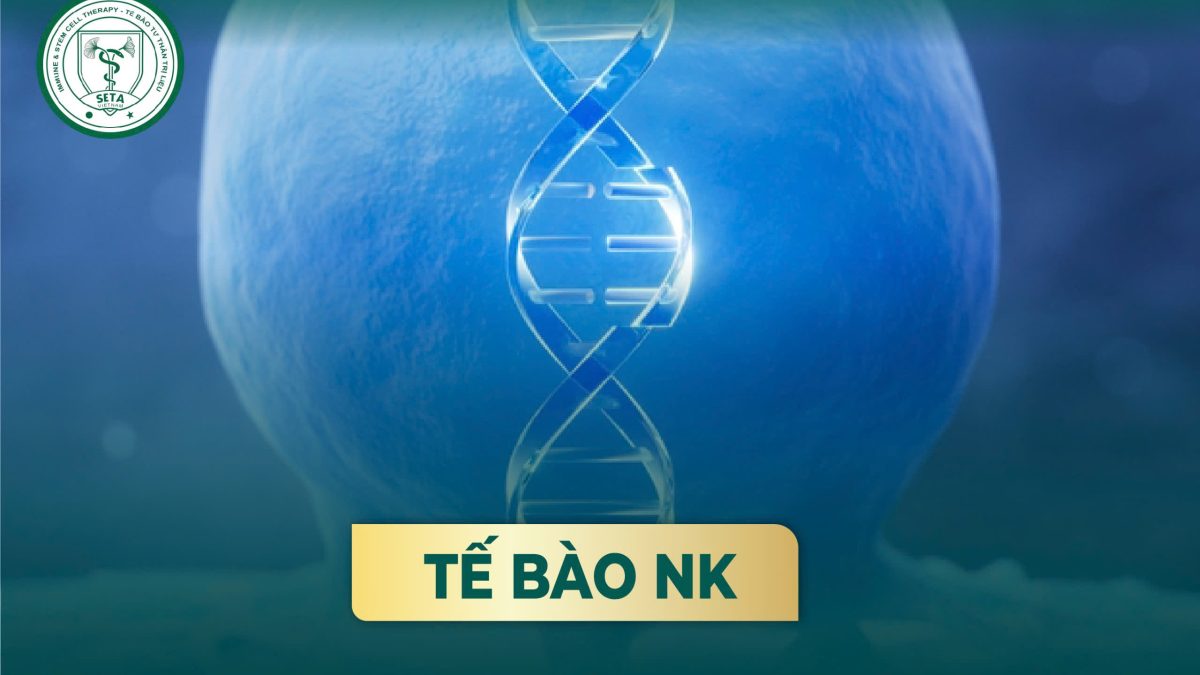 Tế Bào NK Trong Cuộc Chiến Chống Ung Thư