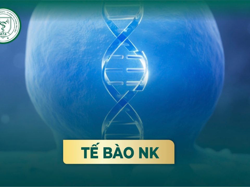 Tế Bào NK Trong Cuộc Chiến Chống Ung Thư