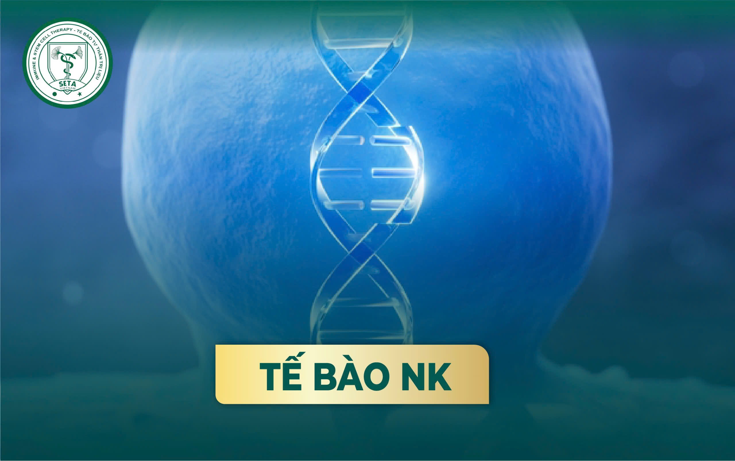 Tế Bào NK Trong Cuộc Chiến Chống Ung Thư