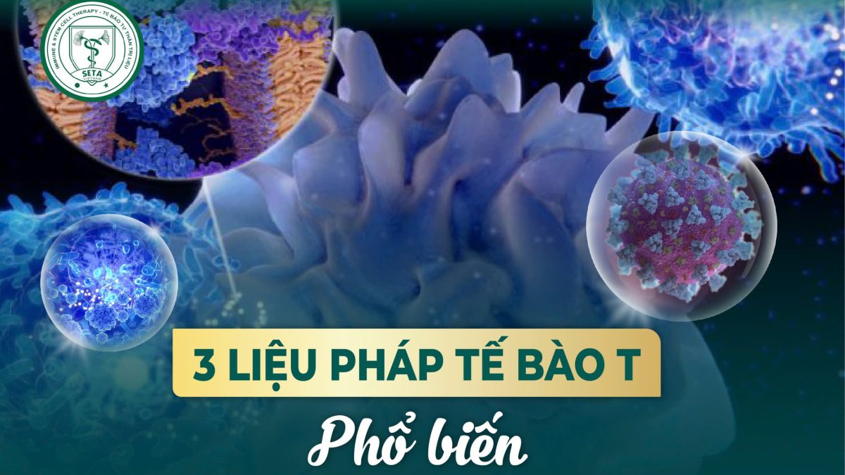 3 Liệu Pháp Tế Bào T Phổ Biến