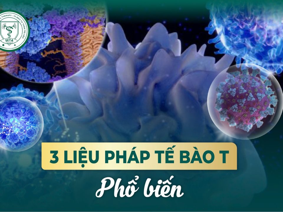 3 Liệu Pháp Tế Bào T Phổ Biến