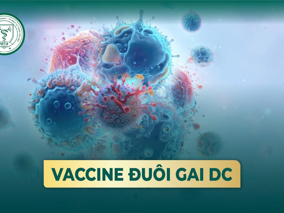 Vắc xin tế bào đuôi gai DC