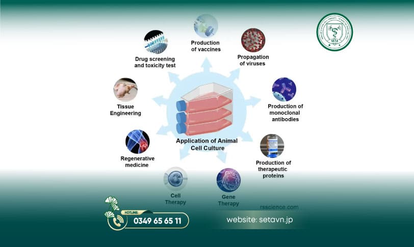 Dịch Vụ Nuôi Cấy Mô Tế Bào: Ứng Dụng Tiềm Năng và Bước Tiến Y Học 10 Dịch vụ nuôi cấy mô tế bào - SETA Việt Nam