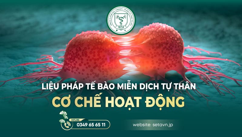 Tư Vấn Về Ưu Điểm Của Liệu Pháp Tế Bào Miễn Dịch Tự Thân Trong Điều Trị Ung Thư 8 Ưu điểm của liệu pháp tế bào miễn dịch tự thân