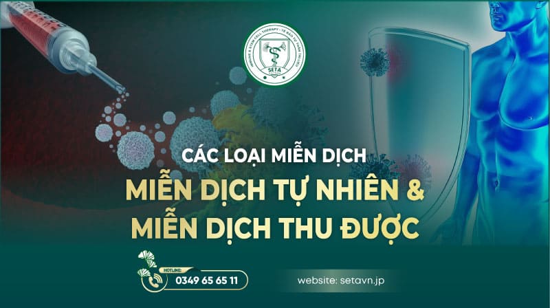Các loại miễn dịch - SETA Việt Nam