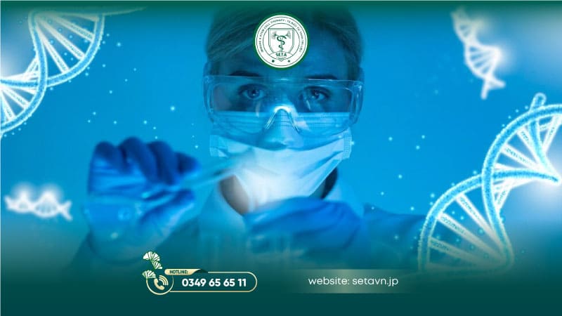 Môi Trường Nuôi Cấy Tế Bào Gốc: Những Lưu Ý Quan Trọng 10 Nuôi cấy mô tế bào - SETA Việt Nam