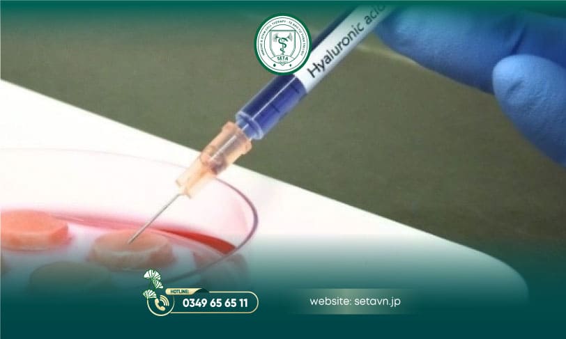 Ưu Điểm Nuôi Cấy Mô Tế Bào - SETA Việt Nam