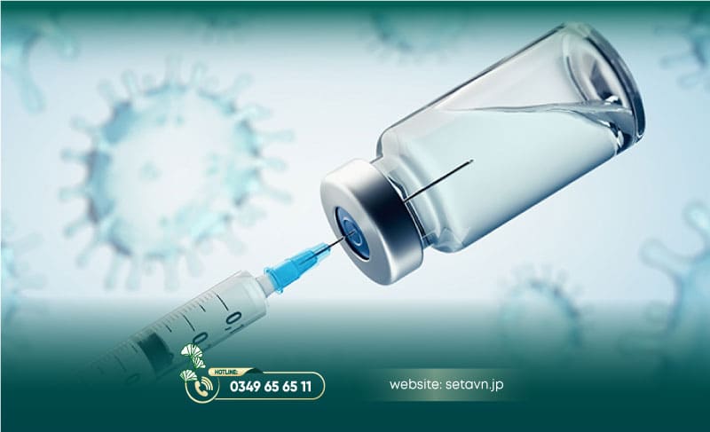 Nuôi Cấy Tế Bào Sinh Dưỡng 12 Nuôi cấy tế bào sinh dưỡng - SETA Việt Nam