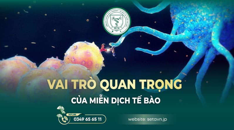 Miễn Dịch Tế Bào Là Gì? Lá Chắn Vững Chắc Bảo Vệ Cơ Thể Khỏi Ung Thư 11 Miễn dịch tế bào - SETA Việt Nam