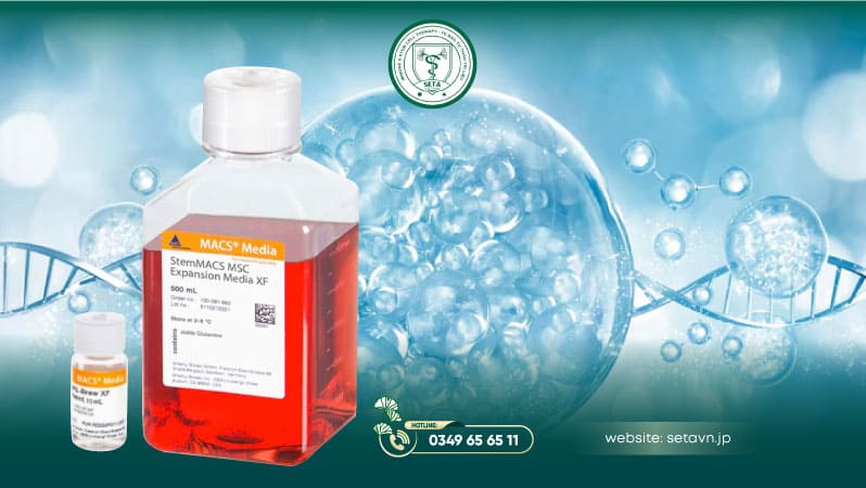 Môi Trường Nuôi Cấy Tế Bào Gốc: Những Lưu Ý Quan Trọng 11 Nuôi cấy mô tế bào - SETA Việt Nam