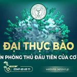 Đại Thực Bào: Người Hùng Chống Lại Tế Bào Ung Thư 6 Đại thực bào - SETA Việt Nam