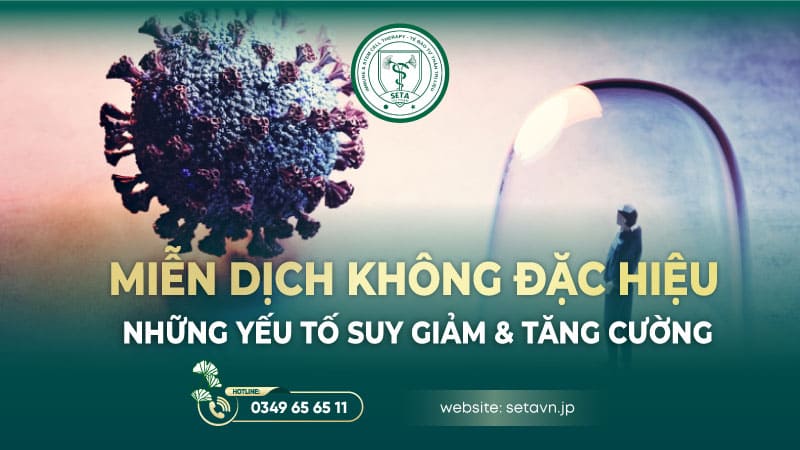 Miễn dịch đặc hiệu: Những yếu tố suy giảm & tăng cường - SETA Việt Nam