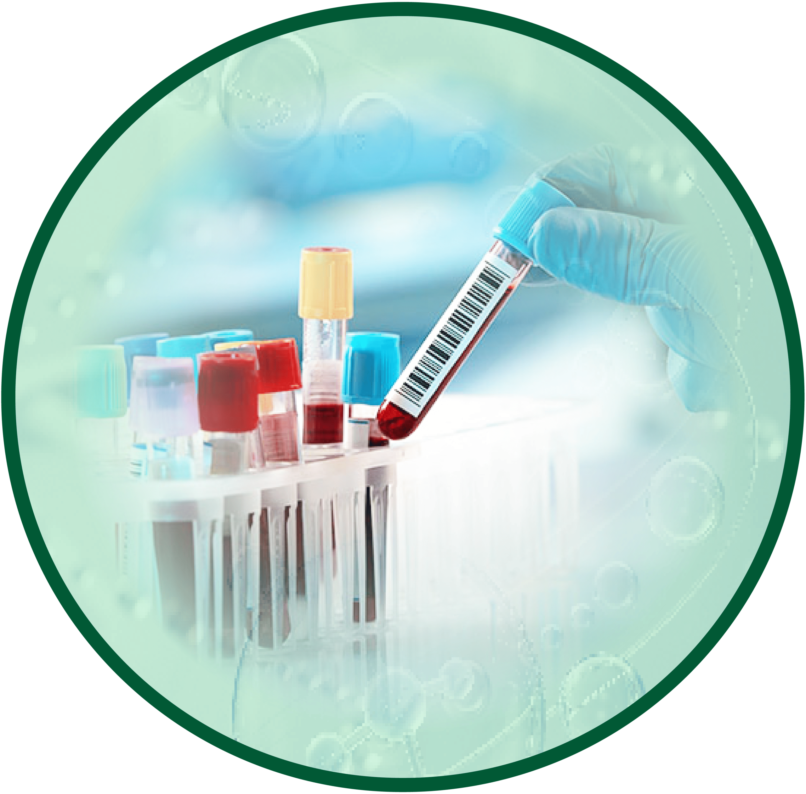 Tầm soát FCM - SETA Việt Nam