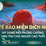 Tế Bào Miễn Dịch NK Hy Vọng Mới Phòng Chống Ung Thư Cho Người Cao Tuổi 6 Phòng chống ung thư cho người cao tuổi - SETA Việt Nam