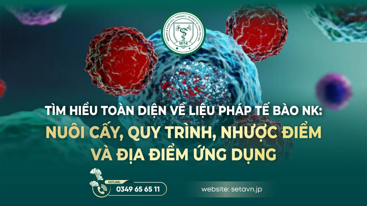 Liệu pháp tế bào NK ở đâu được ứng dụng? Nuôi cấy, quy trình, nhược điểm 7 Liệu pháp tế bào NK ở đâu được ứng dụng? Nuôi cấy, quy trình, nhược điểm