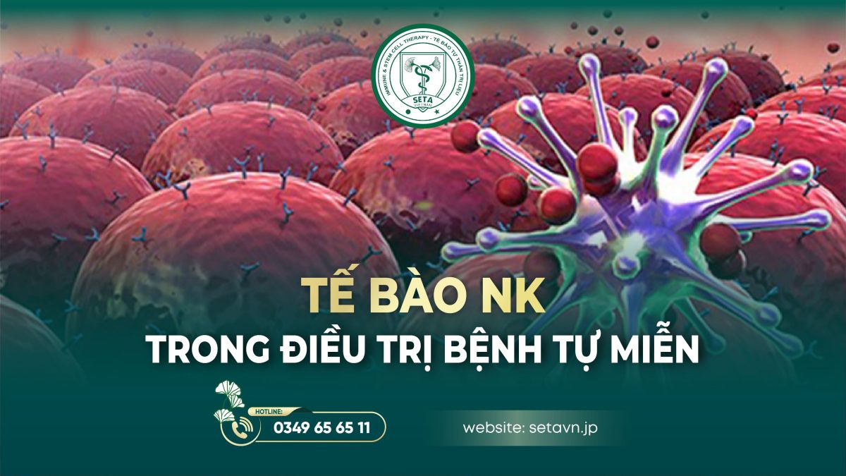 Tế bào NK trong điều trị bệnh tự miễn - SETA Việt Nam