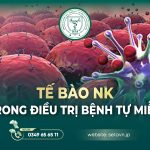 Tế bào NK trong điều trị bệnh tự miễn 5 Tế bào NK trong điều trị bệnh tự miễn - SETA Việt Nam